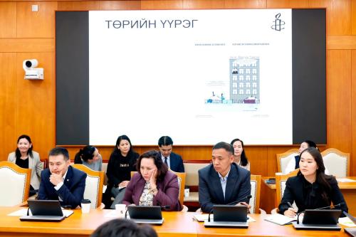 Төсвийн хуулиас хүний эрхийн мэдрэмж “нэхнэ”