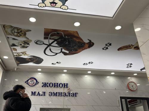 Сурвалжилга: Хайраар амилдаг газар